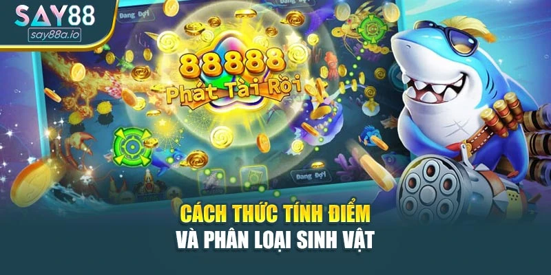 Cách thức tính điểm và phân loại sinh vật