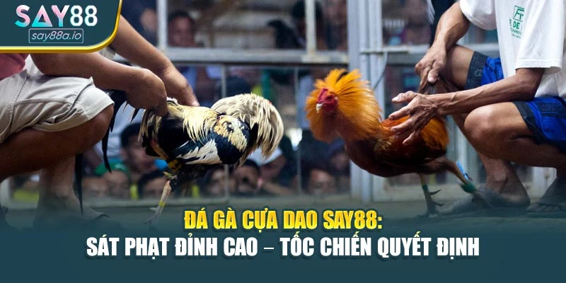 Đá Gà Cựa Dao SAY88: Sát Phạt Đỉnh Cao – Tốc Chiến Quyết Định