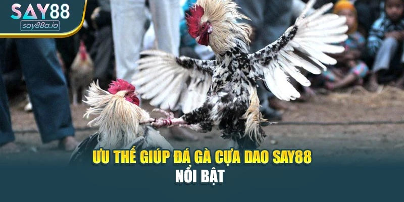 Ưu thế giúp đá gà cựa dao SAY88 nổi bật